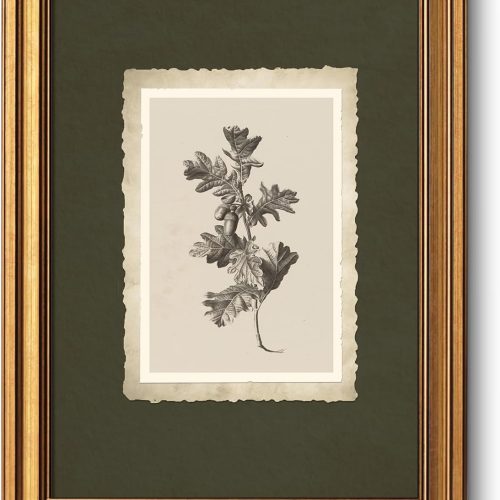 Vintage Oak Acorn Gold Framed Floral Decorative Wall Art