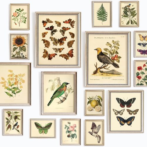 Vintage Botanical Floral Decorative Poster Set